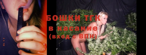 дурь Краснослободск
