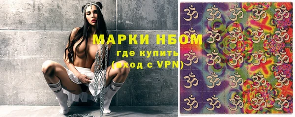дурь Краснослободск