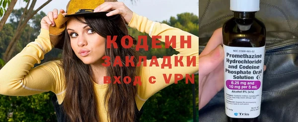 дурь Краснослободск