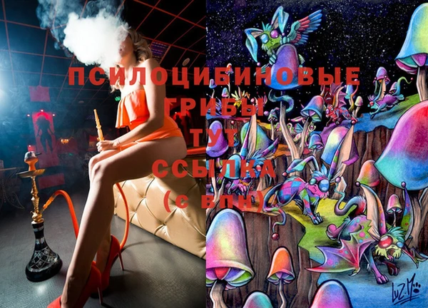 дурь Краснослободск