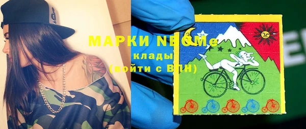 дурь Краснослободск